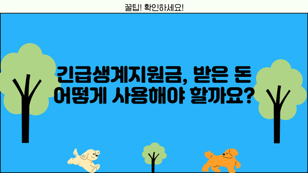 2024년 긴급생계지원금 신청 완벽 가이드| 자격, 절차, 서류까지 한번에! | 긴급생계지원, 신청 방법, 지원 대상