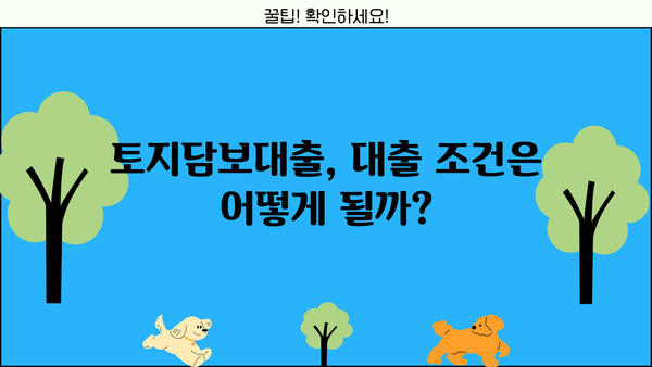 토지담보대출 고민? 알아두면 도움되는 핵심 정보 | 토지담보대출, 대출 조건, 금리 비교, 주의 사항