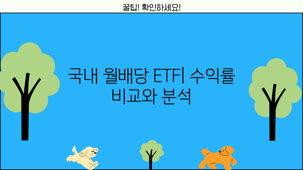 국내 월배당 ETF 투자 가이드| 알아야 할 모든 것 | 월배당, ETF, 투자 전략, 수익률 비교, 추천 종목