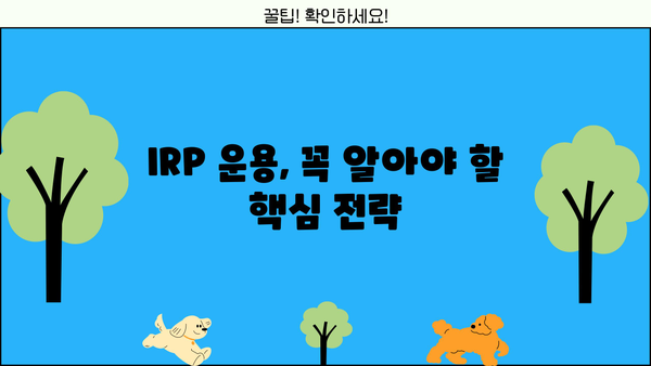 IRP 운용 전략| 나에게 맞는 투자 방식 찾기 | 연금저축, 개인형퇴직연금, 투자 전략, 수익률 향상
