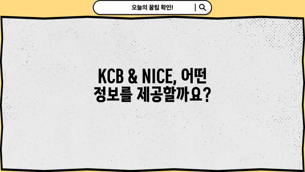 대출 신청 전 필수 확인! KCB & NICE 신용정보 조회 방법 | 대출, 신용등급, 신용정보, KCB, NICE