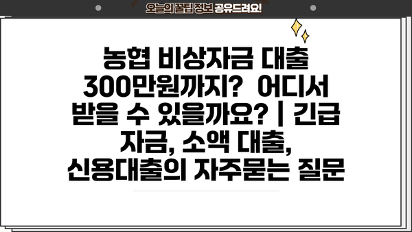 농협 비상자금 대출 300만원까지?  어디서 받을 수 있을까요? | 긴급 자금, 소액 대출, 신용대출